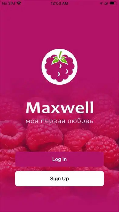 Play Maxwell  and enjoy Maxwell with UptoPlay