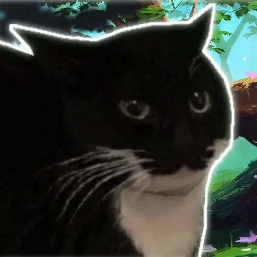Play Maxwell The Carryable Cat APK Play Maxwell The Carryable Cat APK