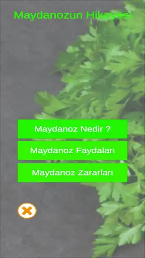 Play Maydanoz and enjoy Maydanoz with UptoPlay Play Maydanoz and enjoy Maydanoz with UptoPlay