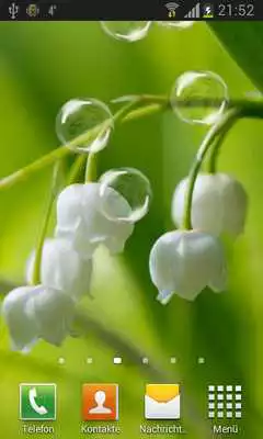 Play May-lily Live Wallpaper HD
