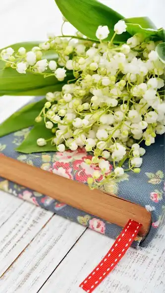 Play May-lily Wallpaper  and enjoy May-lily Wallpaper with UptoPlay