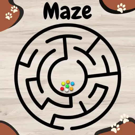 Play Maze Master Roller Coaster APK