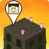 Free play online Maze Pro APK