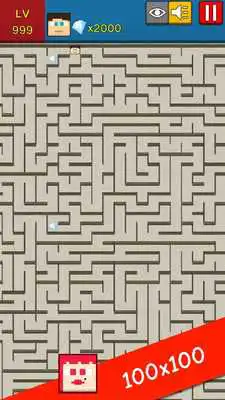 Play Maze Pro