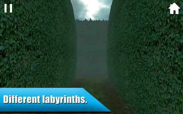 Play Maze without exit