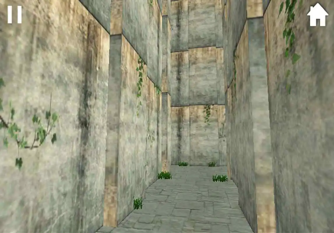 Play Maze without exit