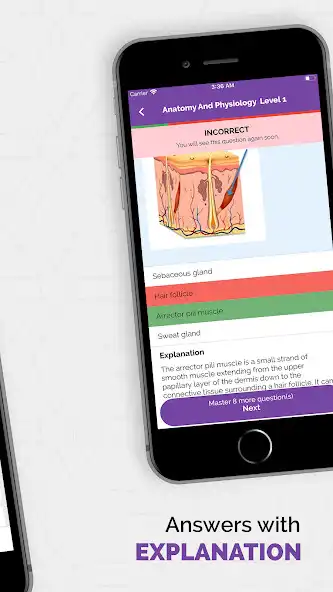 Play MBLEx Practice Test 2022 as an online game MBLEx Practice Test 2022 with UptoPlay