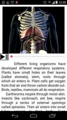 Play Mbook: Respiration Circulation
