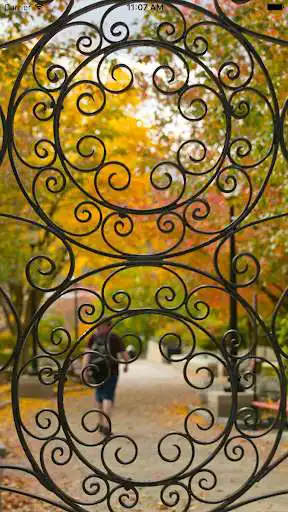 Play MCLA Events Play MCLA Events