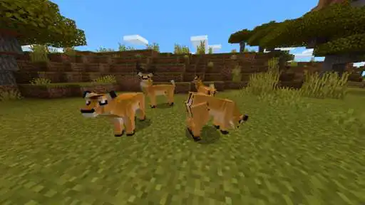 Play MCPE Animacraft Mod as an online game online MCPE Animacraft Mod with UptoPlay ggcraft.animacraft_mod_mcpe Play MCPE Animacraft Mod as an online game MCPE Animacraft Mod with UptoPlay