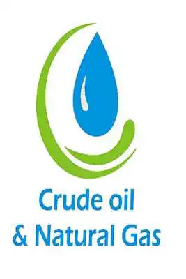 Play MCX CRUDE  N.GAS CALCULATOR