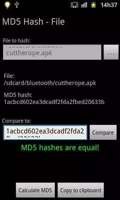 Play MD5 Hash (Free, No Ads)