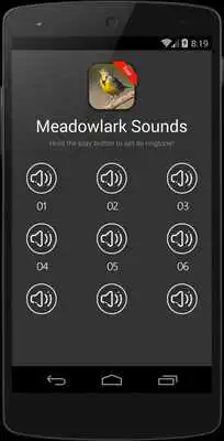 Play Meadowlark bird sounds