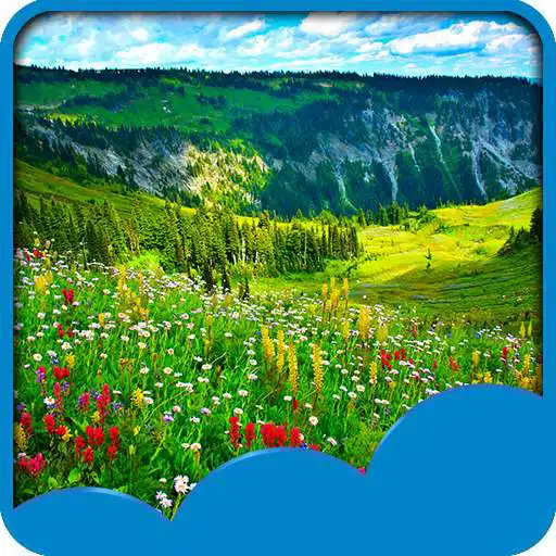 Free play online Meadow Live Wallpapers  APK