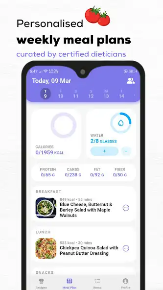 Play MealGuide as an online game MealGuide with UptoPlay