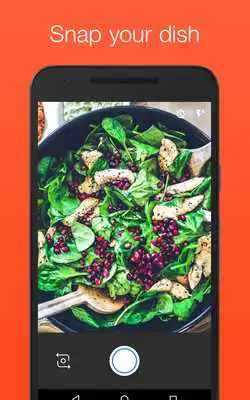 Play Meal-Your personal food coach.