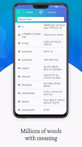 Play Meaning in Amharic