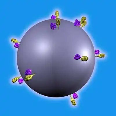 Play Measles Virus Structure in 3D Virtual Reality Play Measles Virus Structure in 3D Virtual Reality