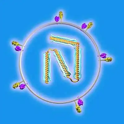 Play Measles Virus Structure in 3D Virtual Reality Play Measles Virus Structure in 3D Virtual Reality