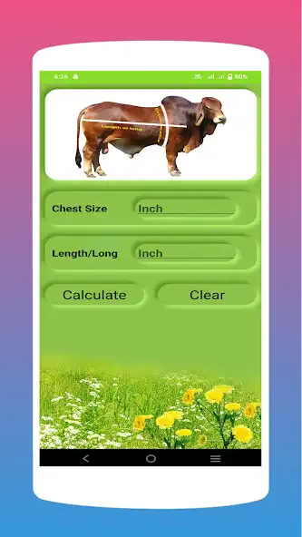 Play Meat Calculator as an online game Meat Calculator with UptoPlay