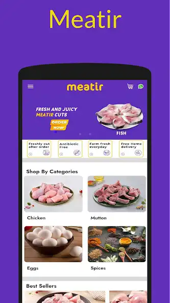 Play Meatir  and enjoy Meatir with UptoPlay