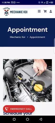 Play Mechanic Koi as an online game Mechanic Koi with UptoPlay