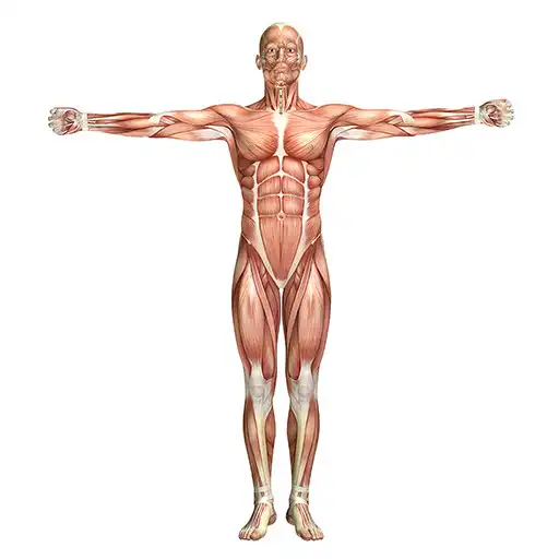 Play MedCerts AP APK