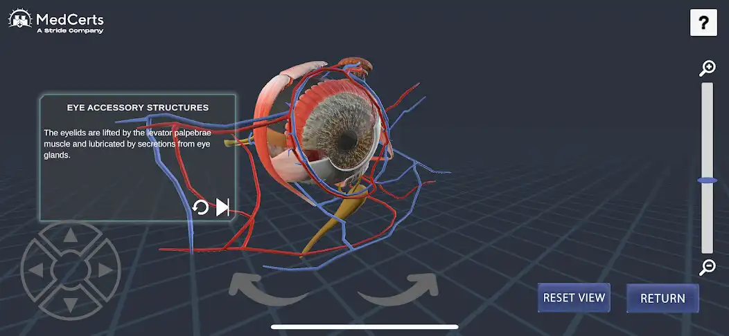 Play MedCerts AP as an online game online MedCerts AP with UptoPlay Play MedCerts AP as an online game MedCerts AP with UptoPlay