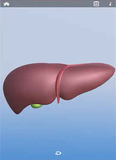 Play MedCir  and enjoy MedCir with UptoPlay