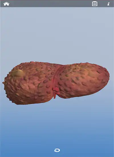 Play MedCir as an online game MedCir with UptoPlay