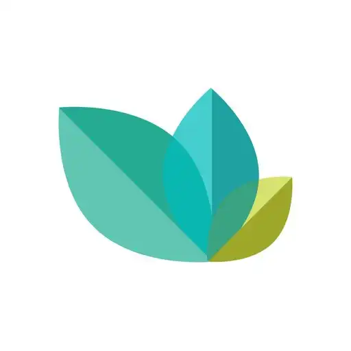 Play Medcursor APK Play Medcursor APK