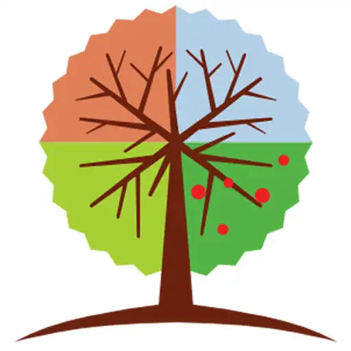 Play MedEClasses Endocrinology APK