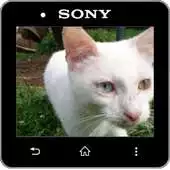 Free play online Media Viewer APK Free play online Media Viewer APK