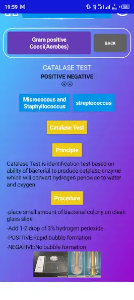 Play Medical Laboratory  and enjoy Medical Laboratory with UptoPlay