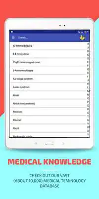 Play Medical Terms SV