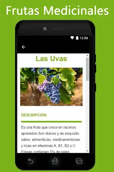 Play Medicinal Fruits