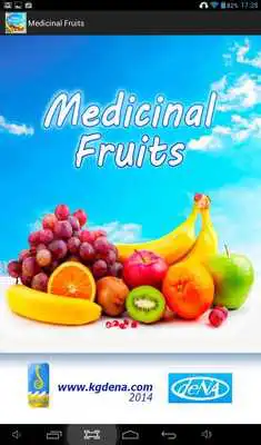 Play Medicinal Fruits