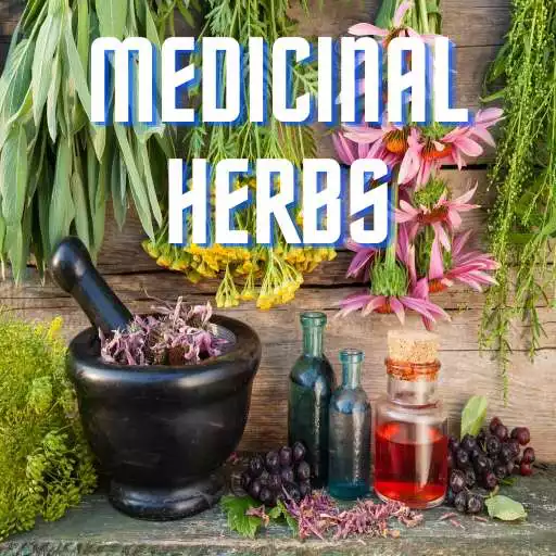 Play Medicinal Herbs APK Play Medicinal Herbs APK
