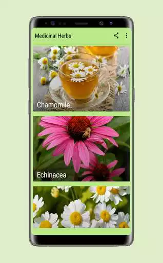 Play Medicinal Herbs  and enjoy Medicinal Herbs with UptoPlay