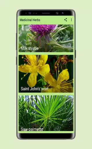 Play Medicinal Herbs as an online game Medicinal Herbs with UptoPlay