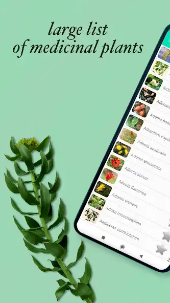 Play Medicinal Plants  Herbs Guide  and enjoy Medicinal Plants  Herbs Guide with UptoPlay