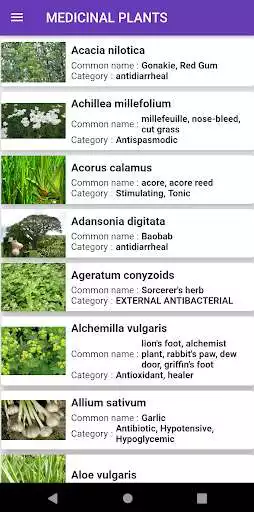 Play Medicinal plants  Herbs as an online game Medicinal plants  Herbs with UptoPlay