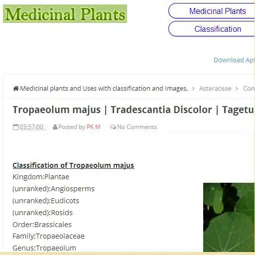 Free play online Medicinal plants  Uses APK