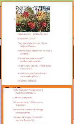 Play Medicinal plants  Uses