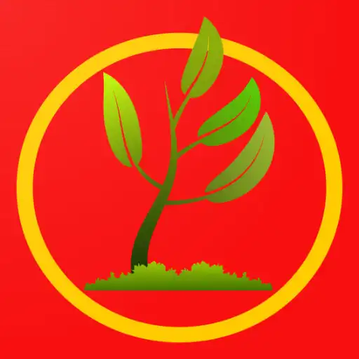 Play Medicina Natural con I.A. APK Play Medicina Natural con I.A. APK
