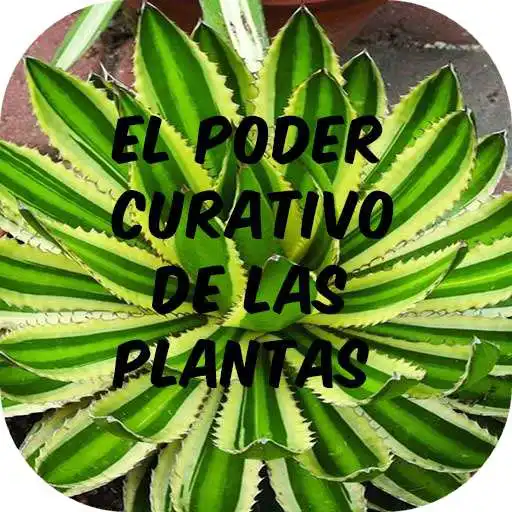 Play Medicina Natural con Plantas Medicinales APK Play Medicina Natural con Plantas Medicinales APK