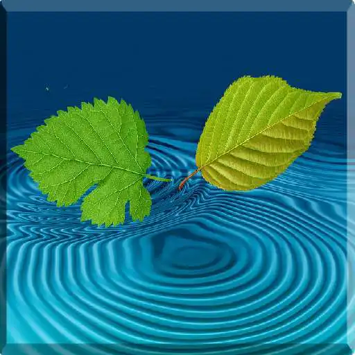 Play Meditación y Relajación APK Play Meditación y Relajación APK