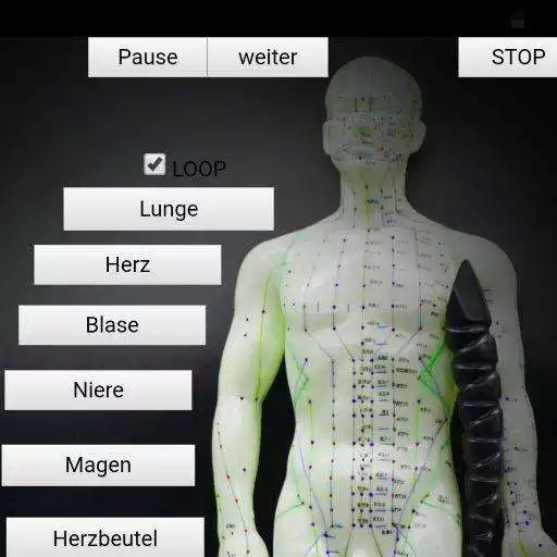 Play Meditation mit den 12 Meridian Leitbahnen APK