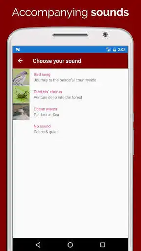 Play Meditation Pro  and enjoy Meditation Pro with UptoPlay