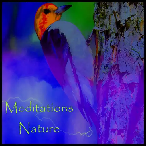 Play Meditations In Nature APK Play Meditations In Nature APK